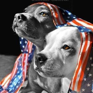 Meet your Posher, Bobby